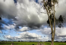 乌迪内斯客场平局，联赛形势略显恶化