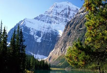 亚洲球场，燃情激荡：女子足球的铿锵玫瑰绽放东方