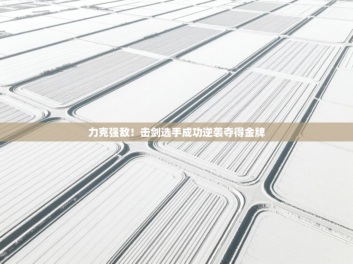 力克强敌！击剑选手成功逆袭夺得金牌