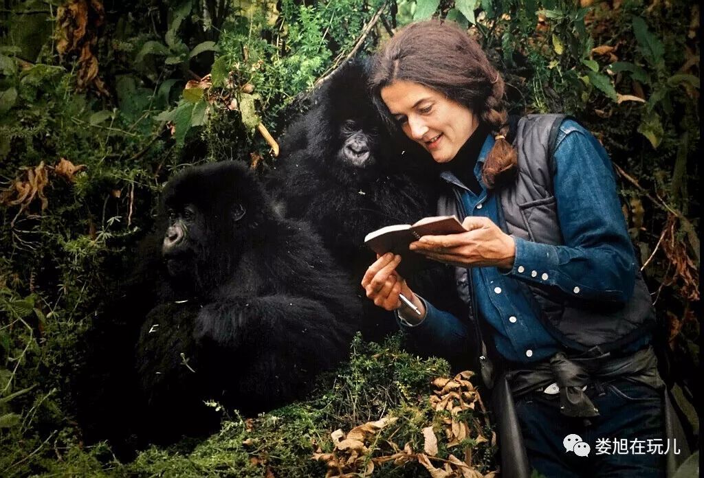 风起云涌:马德里盛宴上演经典之战的简单介绍 风起云涌:马德里盛宴上演经典之战的简单介绍